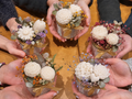 Atelier bouquet fleuri parfumé – Samedi 10 octobre 2026