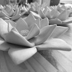 Duftende ewige Rose – Vintage-Hochzeit
